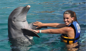 Swim with Dolphins Cancun